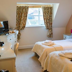 Standard Twin Room Not Dog Friendly
